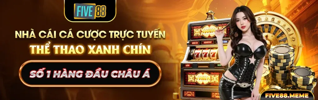 Minh họa đăng nhập an toàn BL5555